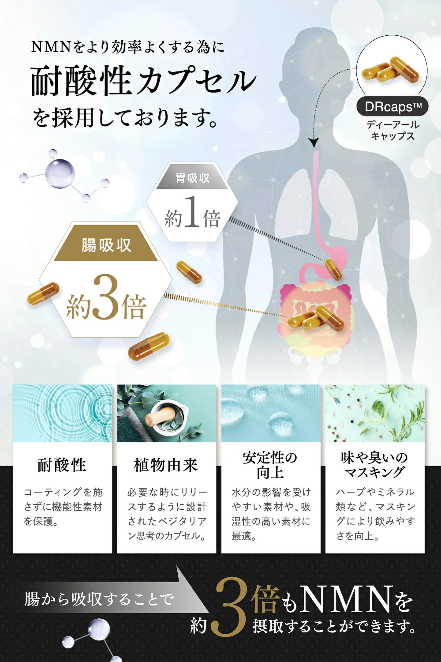 日本高純度PURELAB NMN21000