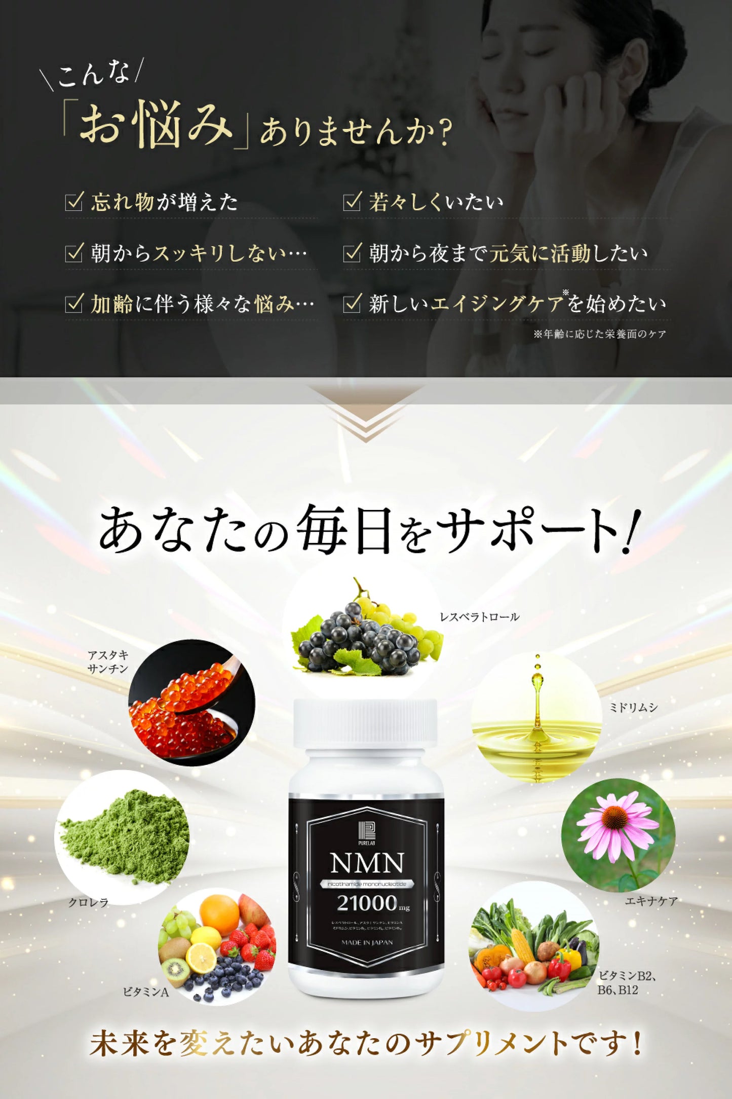 日本高純度PURELAB NMN21000