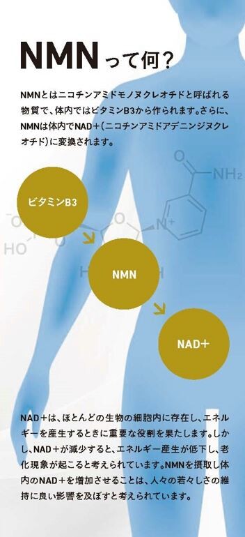 日本製造高純度NMN250mg
