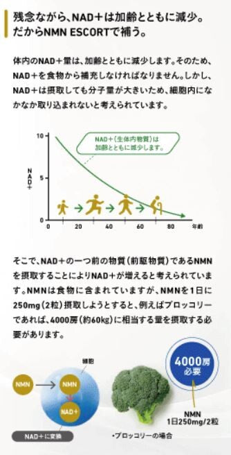 日本製造高純度NMN250mg